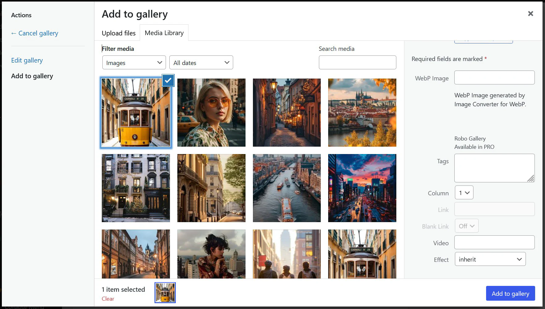 Image Parameters PRO Fields